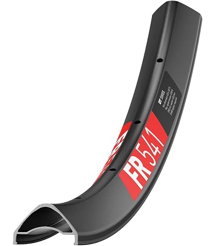 Amazon.com : DT Swiss FR541 Disc | FR 541 Tubeless Ready 29